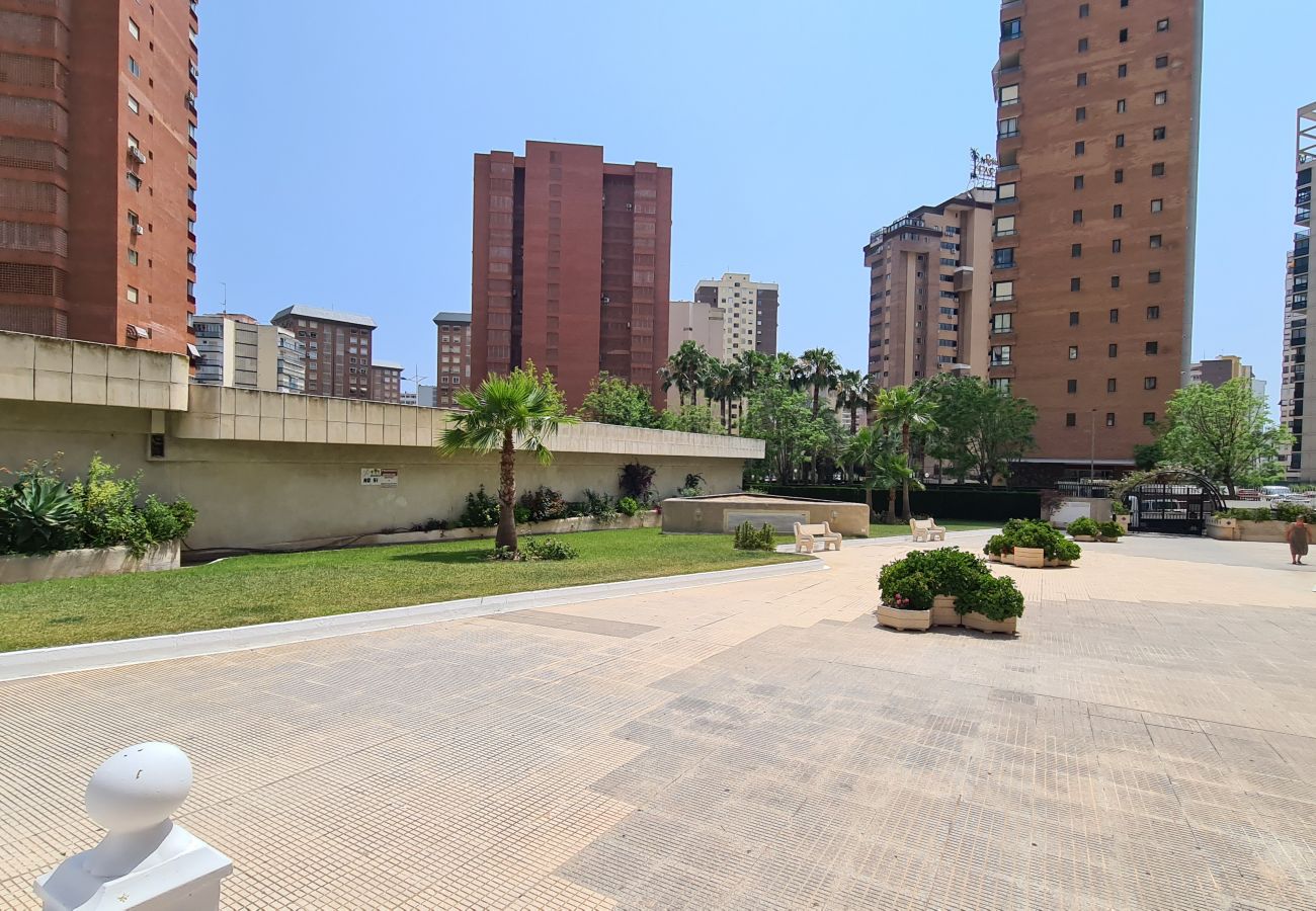 Apartamento en Benidorm - Apartamento  San Francisco IF Benidorm