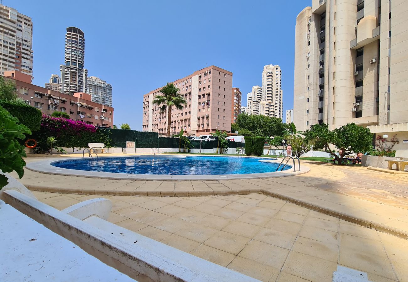 Apartamento en Benidorm - Apartamento  San Francisco IF Benidorm