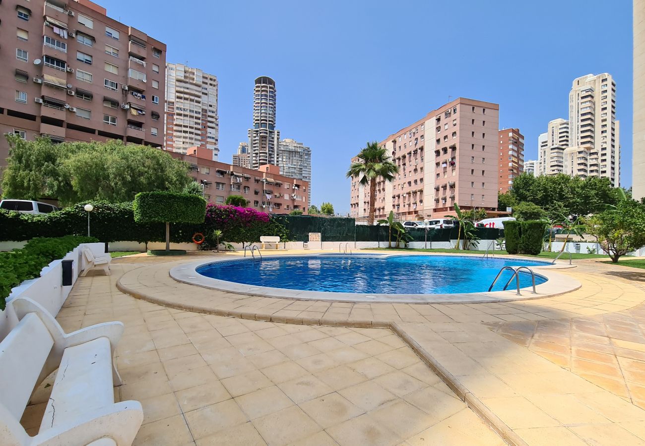 Apartamento en Benidorm - Apartamento  San Francisco IF Benidorm