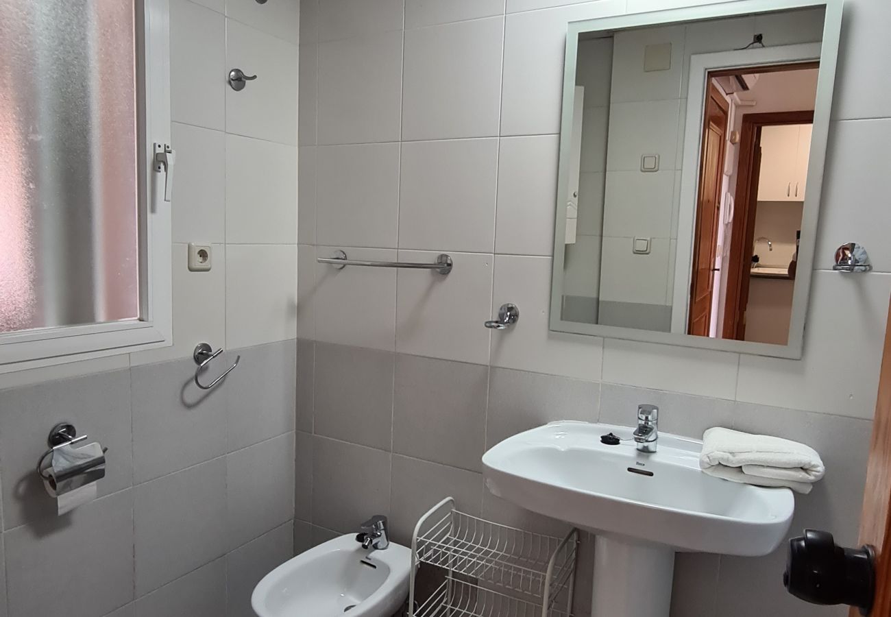 Apartamento en Benidorm - Apartamento  San Francisco IF Benidorm