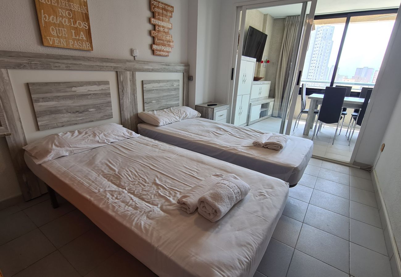 Apartamento en Benidorm - Apartamento  San Francisco IF Benidorm