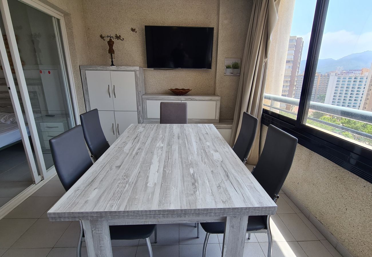 Apartamento en Benidorm - Apartamento  San Francisco IF Benidorm