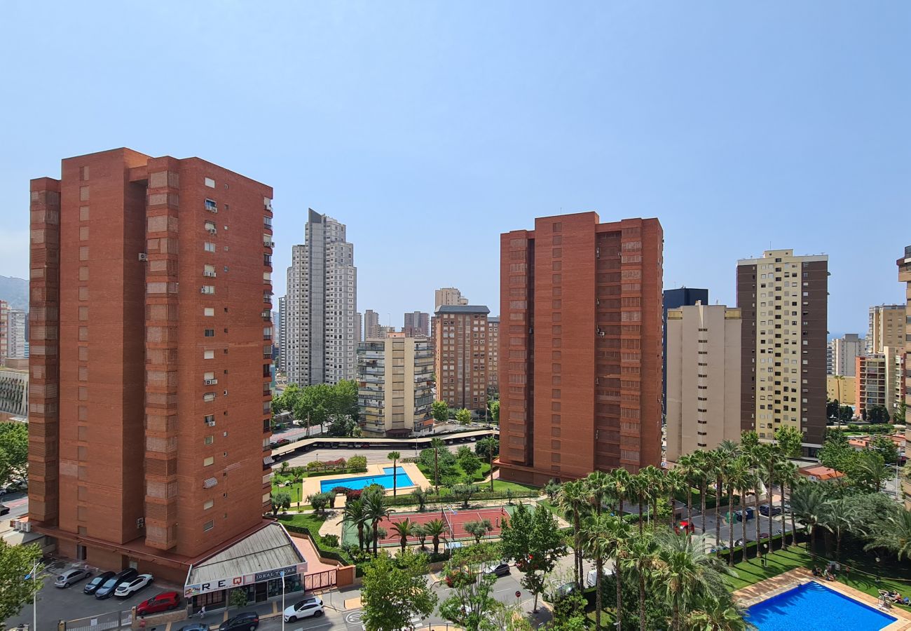 Apartamento en Benidorm - Apartamento  San Francisco IF Benidorm