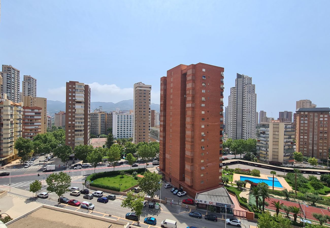 Apartamento en Benidorm - Apartamento  San Francisco IF Benidorm