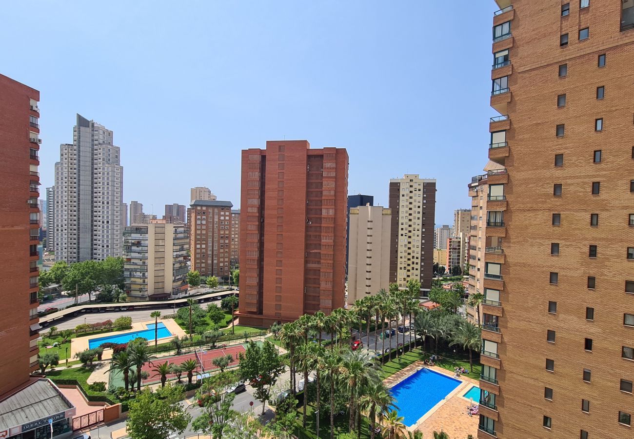 Apartamento en Benidorm - Apartamento  San Francisco IF Benidorm