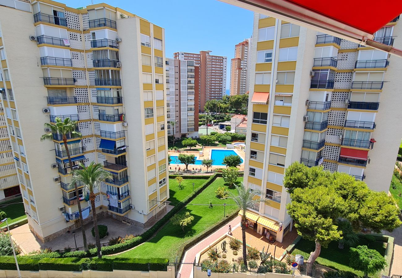 Apartamento en Benidorm - Apartamento Miramar IF Poniente