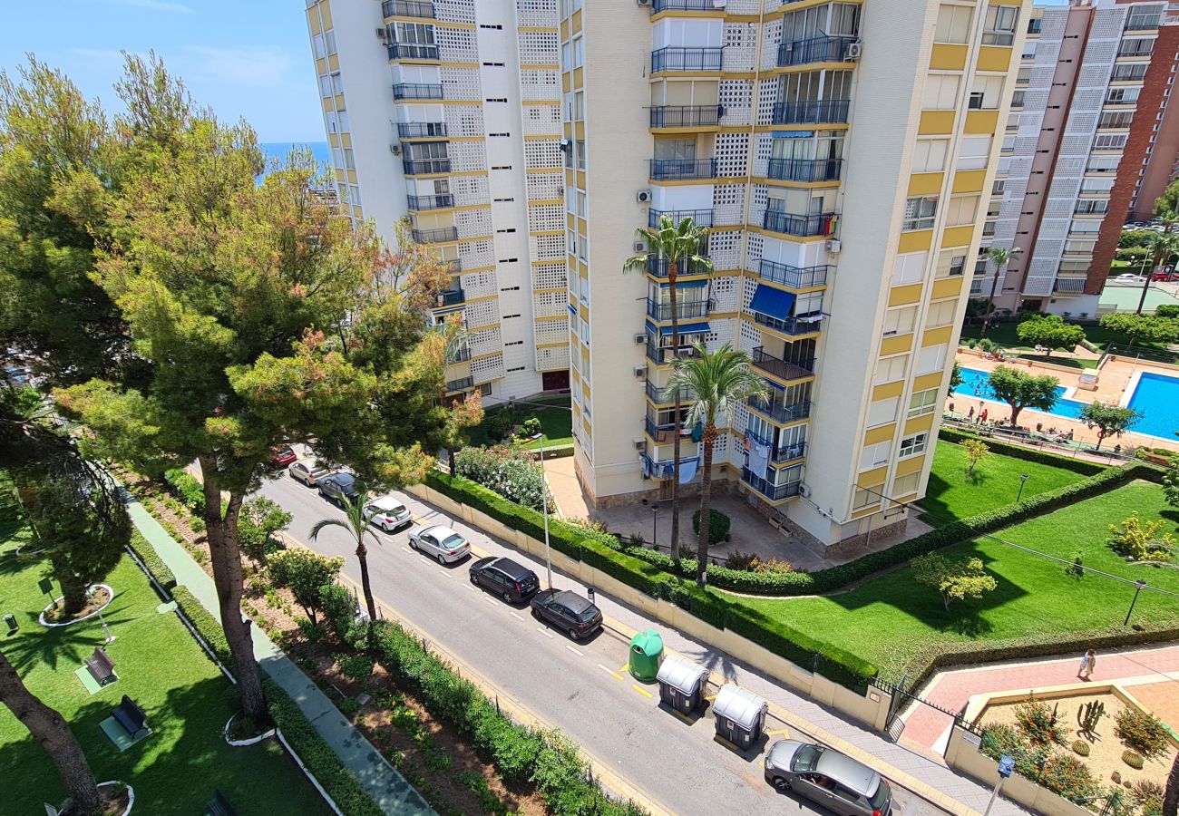 Apartamento en Benidorm - Apartamento Miramar IF Poniente