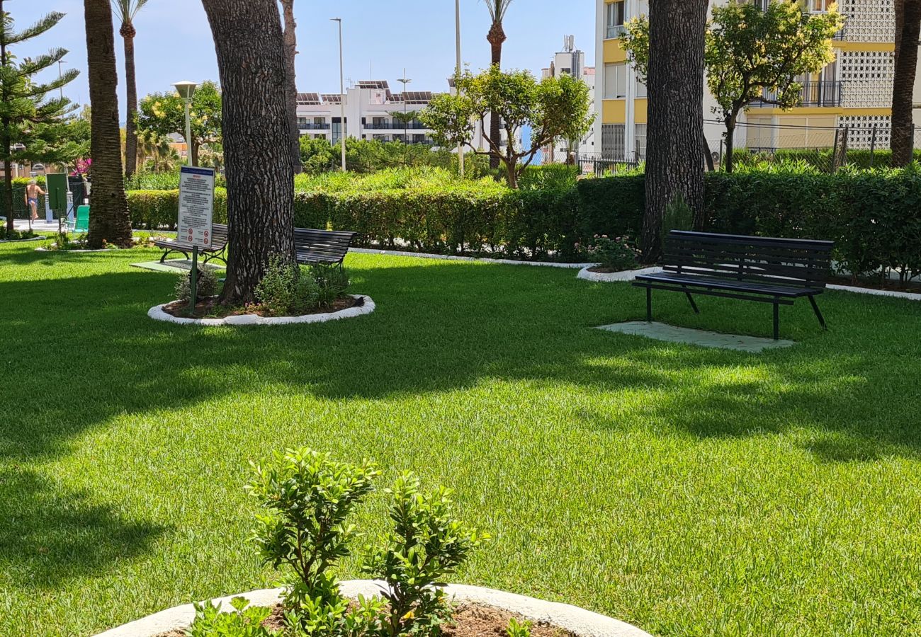 Apartamento en Benidorm - Apartamento Miramar IF Poniente