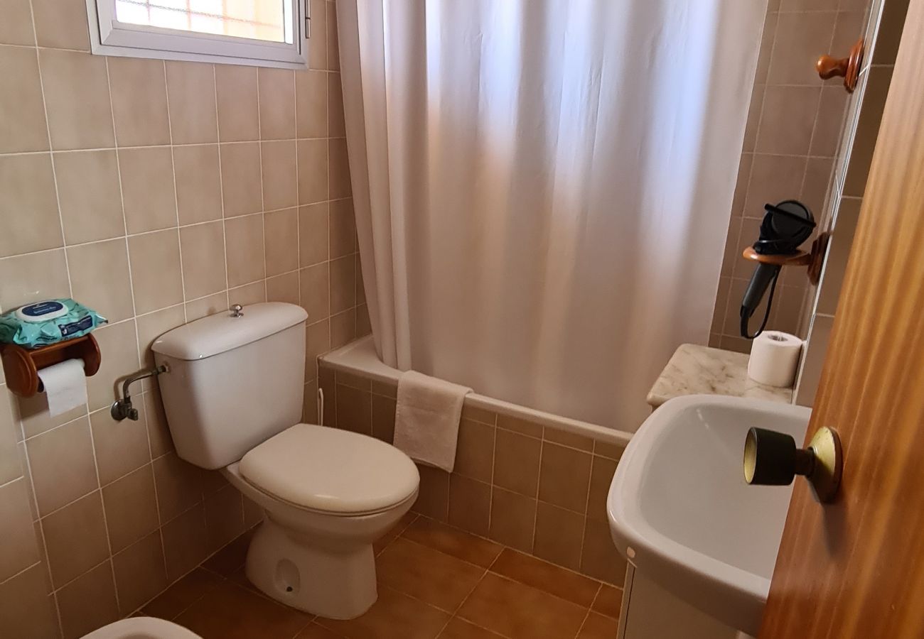 Apartamento en Benidorm - Apartamento Monver IF Benidorm