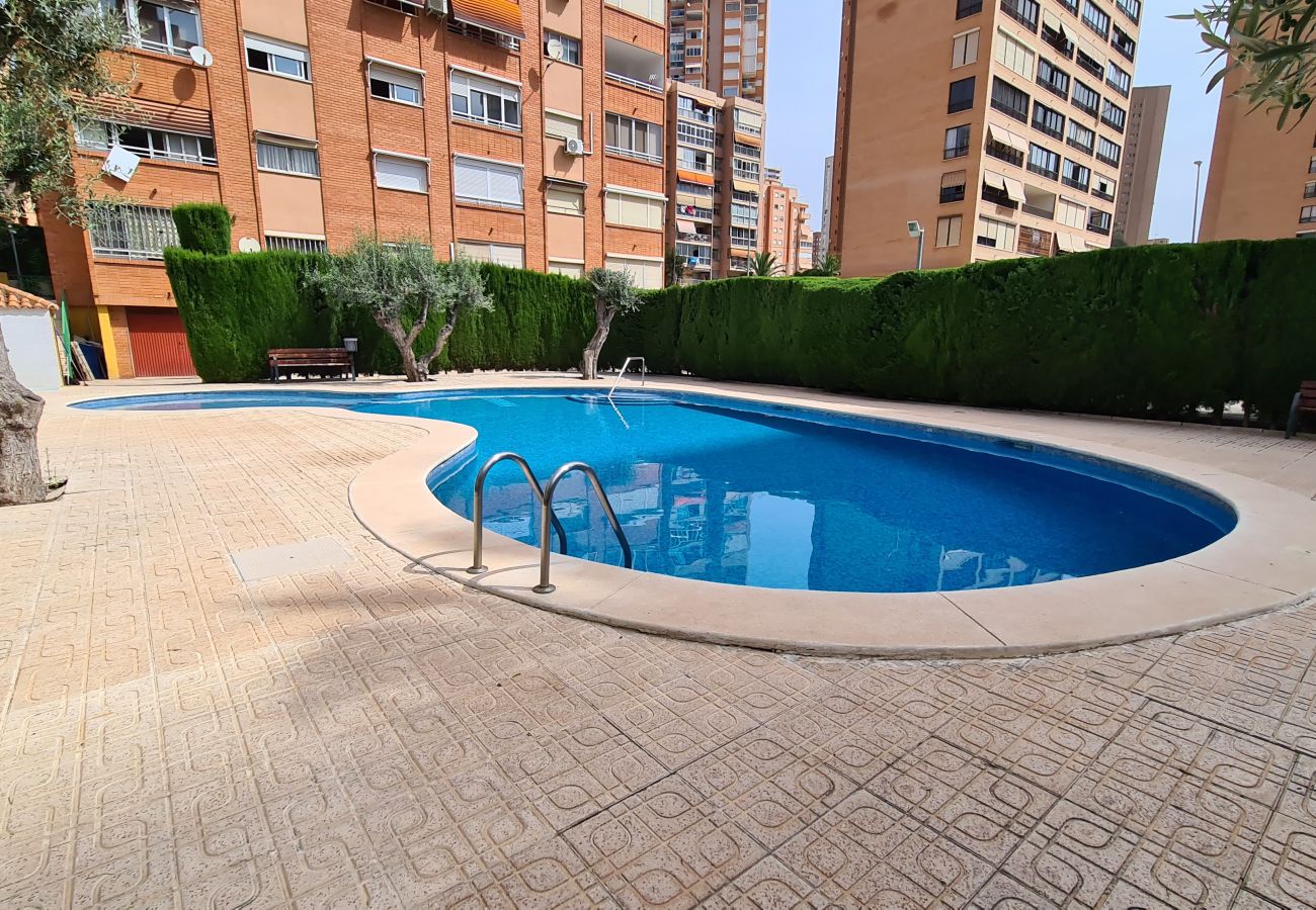 Apartamento en Benidorm - Apartamento Monver IF Benidorm