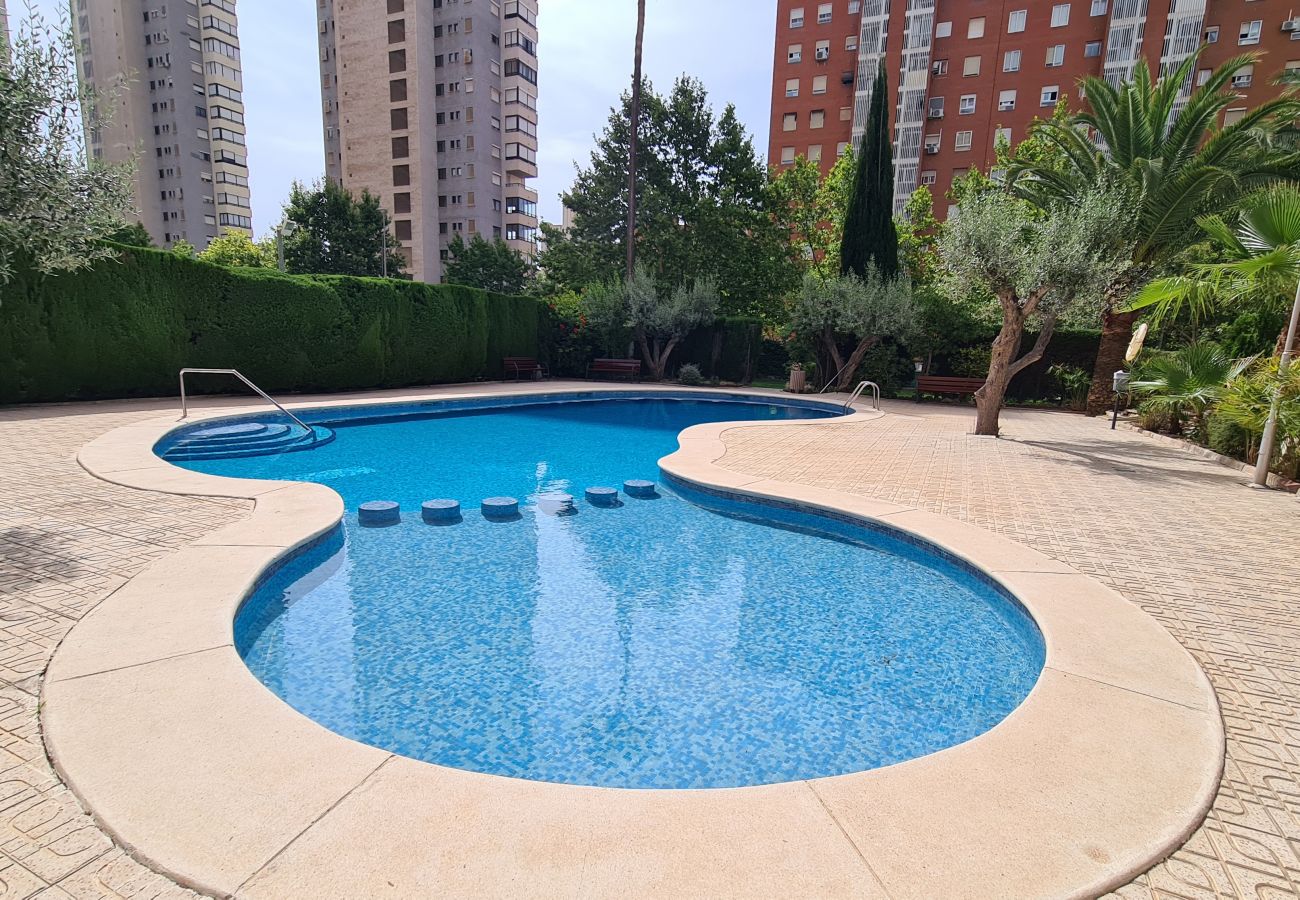 Apartamento en Benidorm - Apartamento Monver IF Benidorm