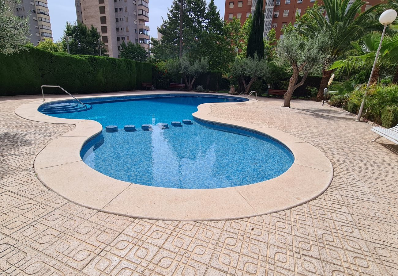 Apartamento en Benidorm - Apartamento Monver IF Benidorm