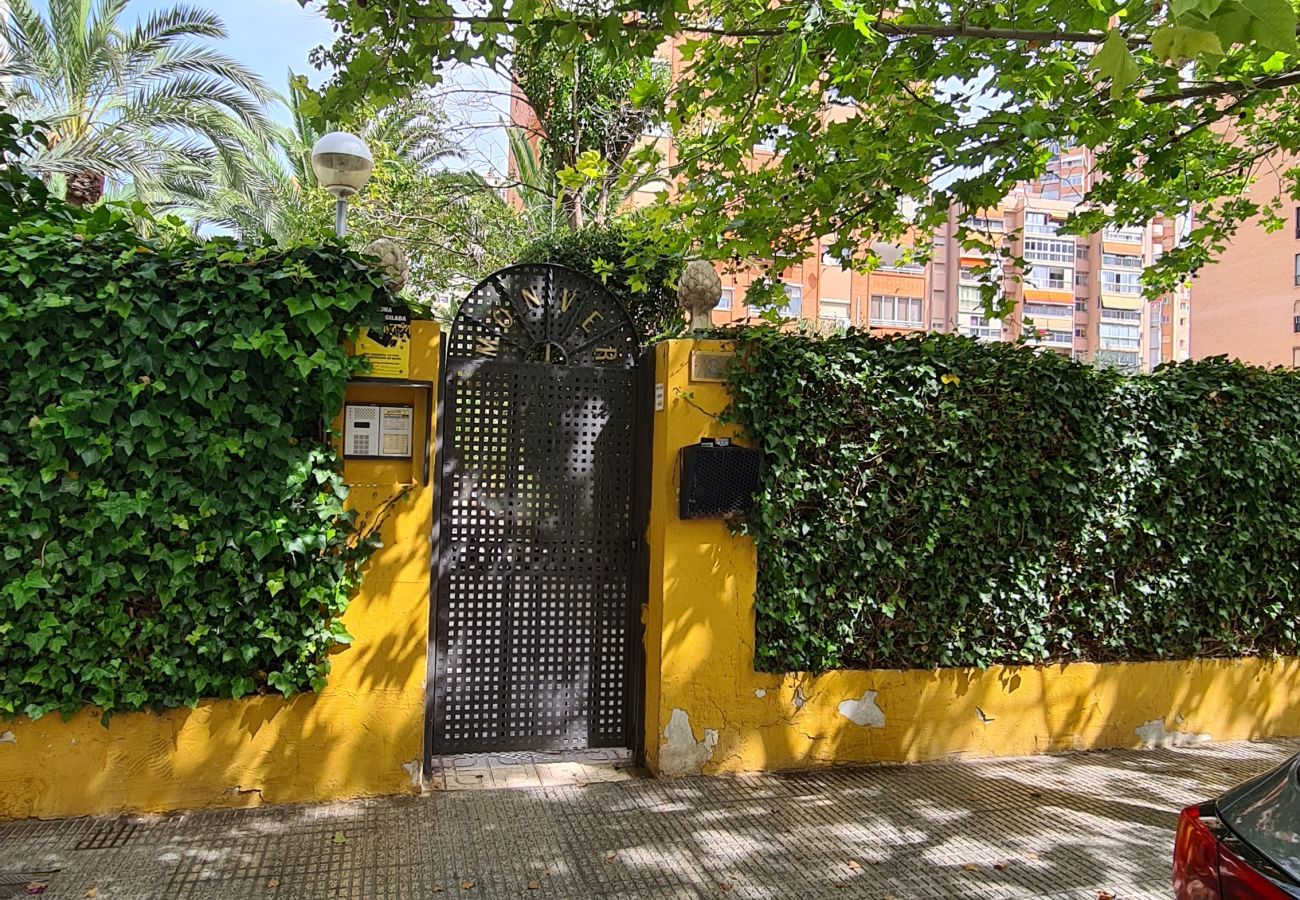 Apartamento en Benidorm - Apartamento Monver IF Benidorm