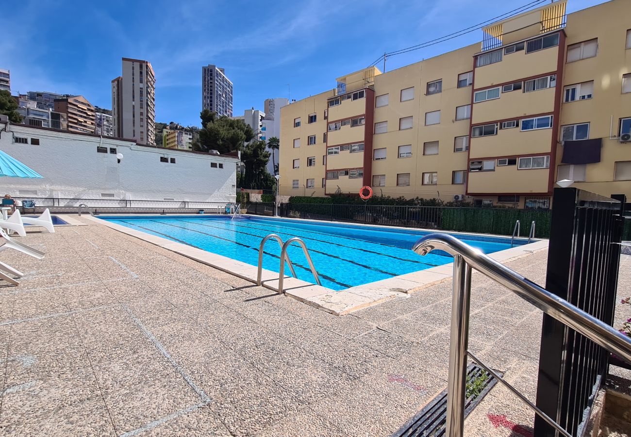 Apartamento en Benidorm - Apartamento  Piscis 3 IF Benidorm