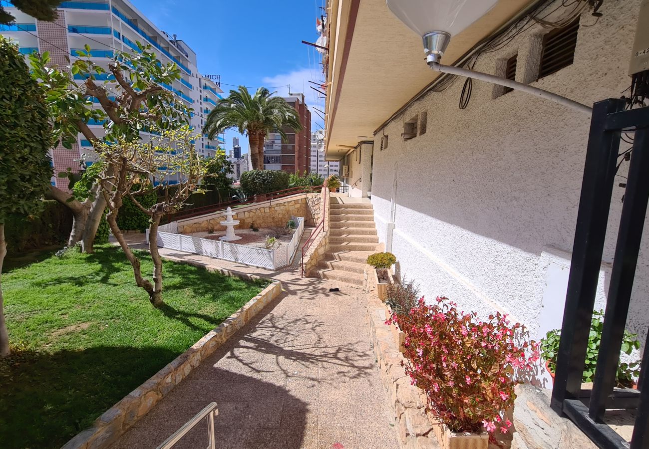 Apartamento en Benidorm - Apartamento  Piscis 3 IF Benidorm