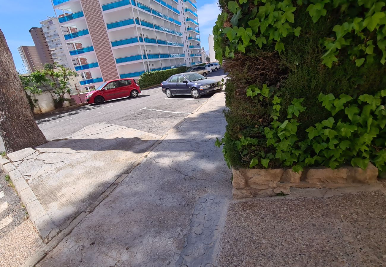 Apartamento en Benidorm - Apartamento  Piscis 3 IF Benidorm