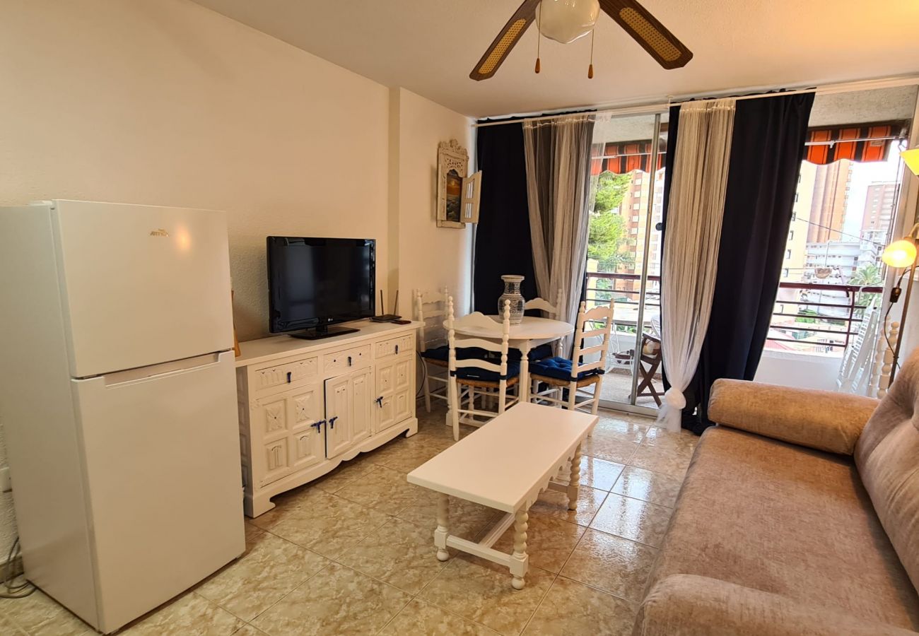 Apartamento en Benidorm - Apartamento  Piscis 3 IF Benidorm