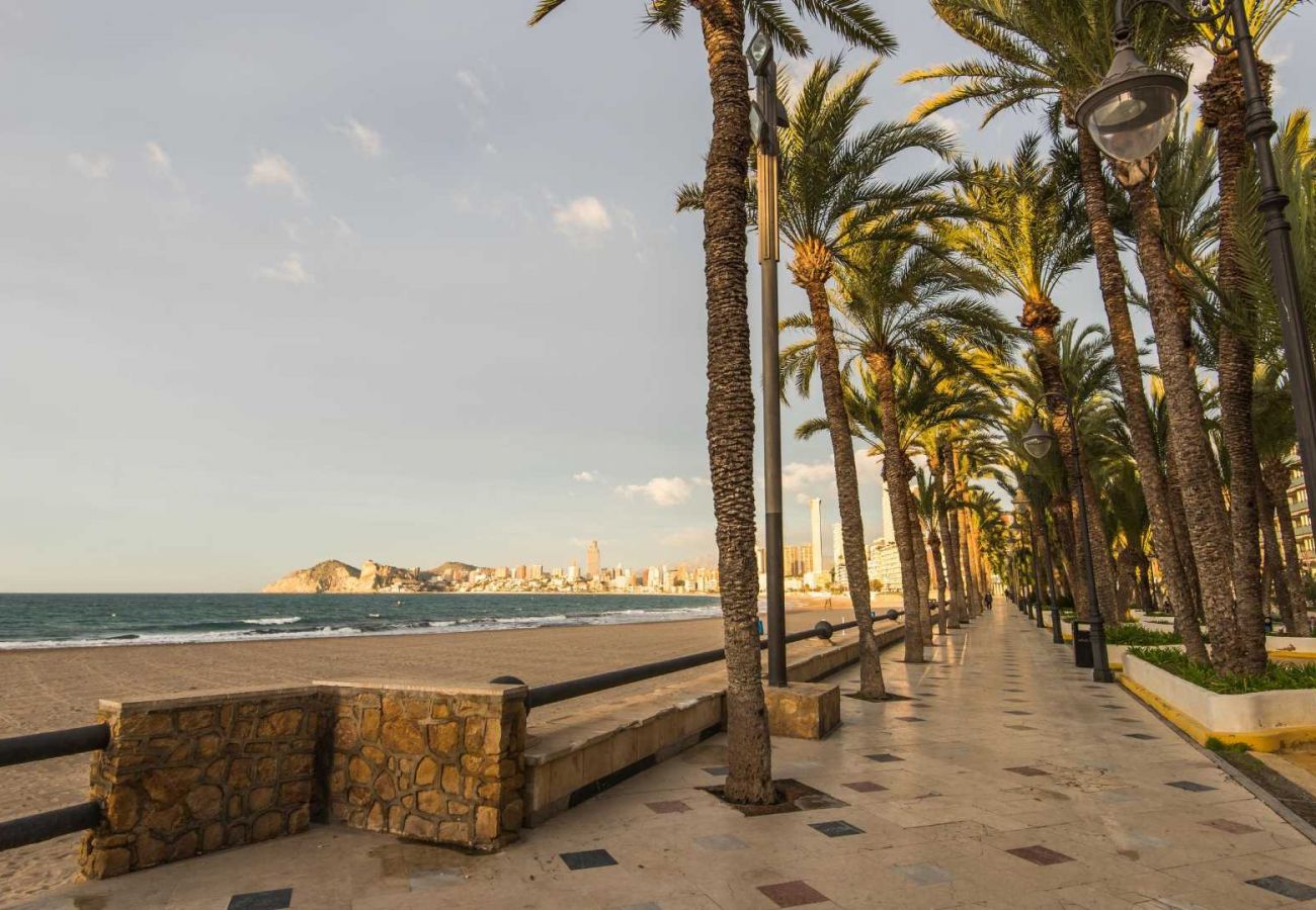 Apartamento en Benidorm - Apartamento Nereida IF Beach A