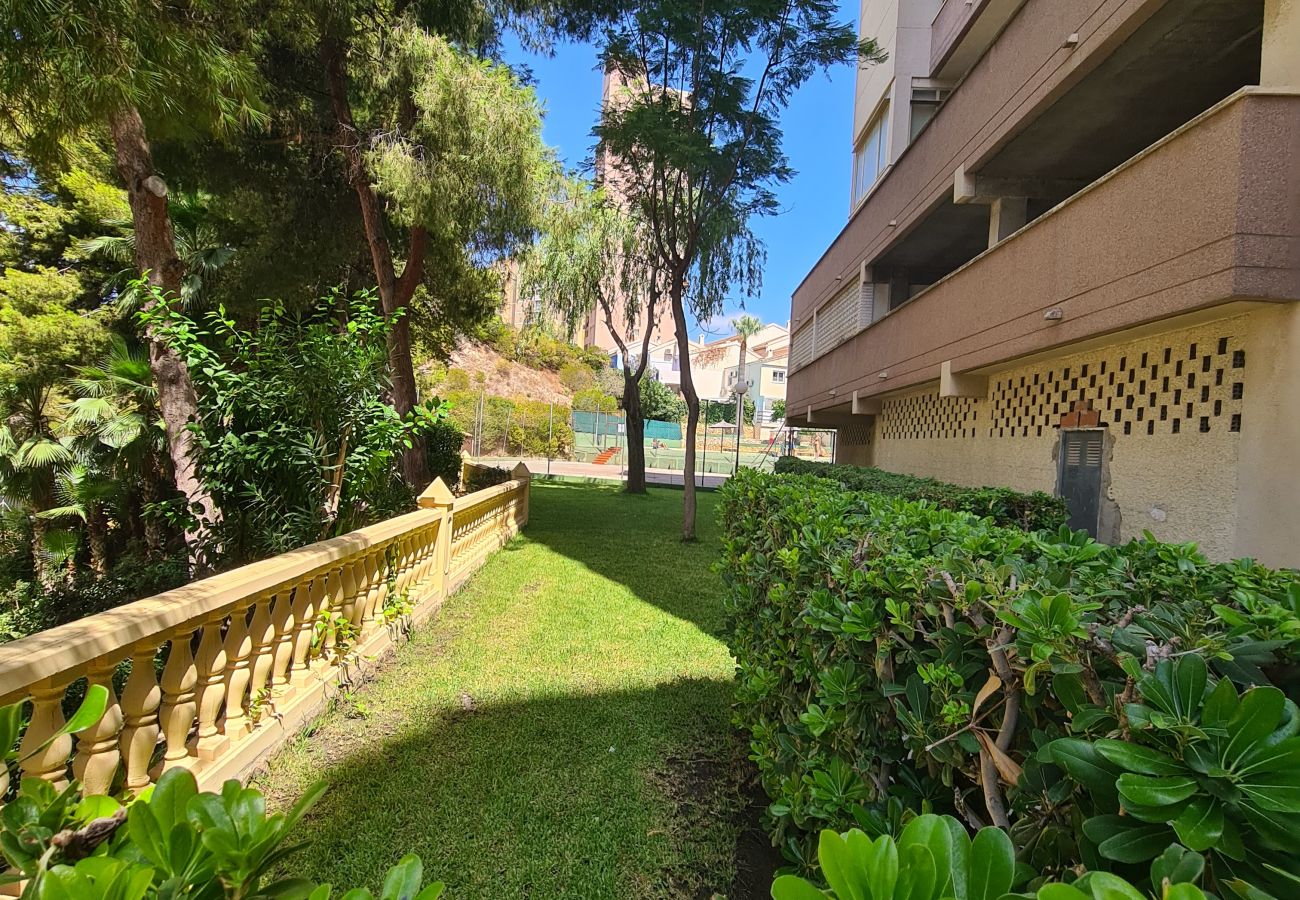 Apartamento en Benidorm - Apartamento Cardenal  IF Beach