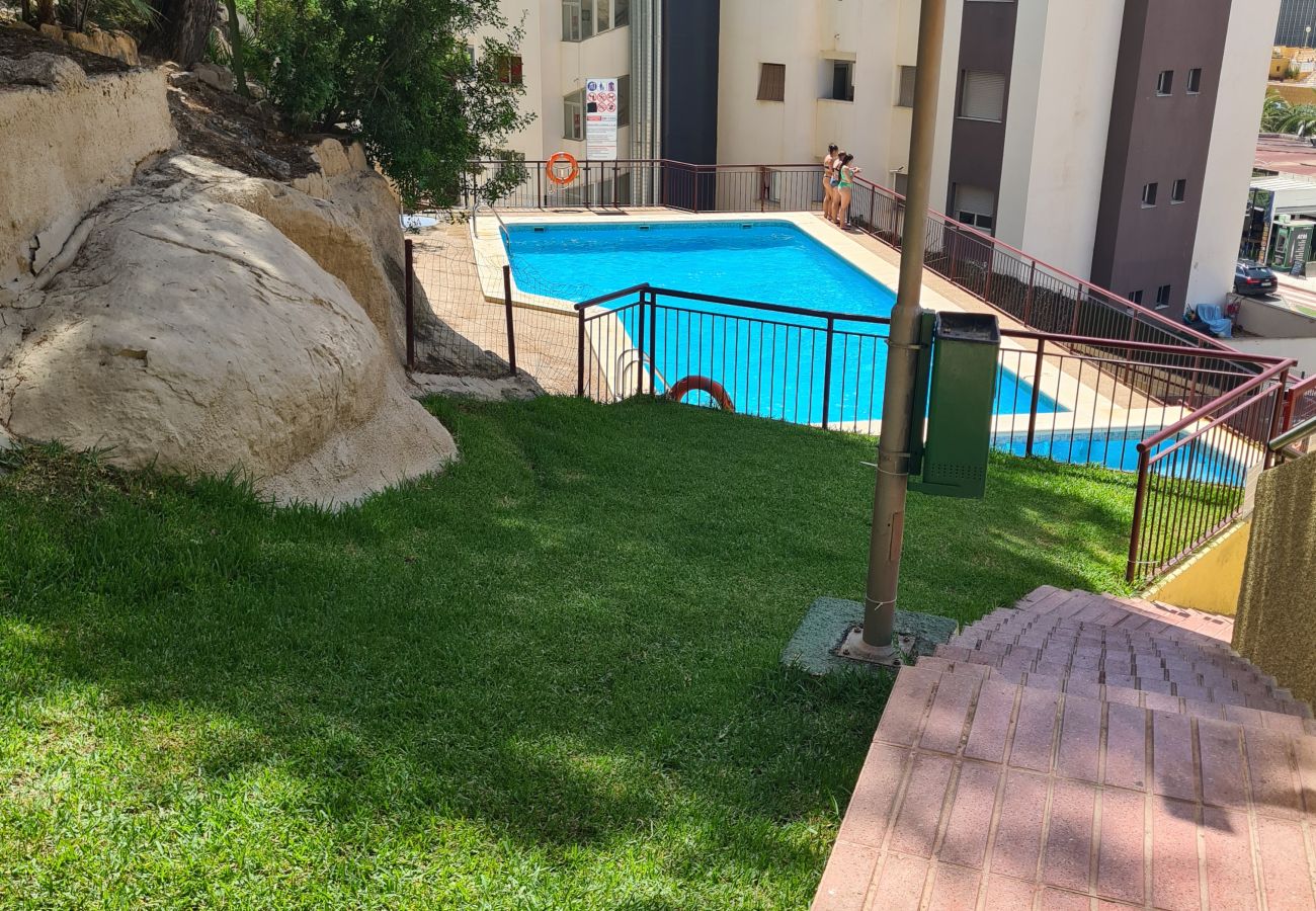 Apartamento en Benidorm - Apartamento Cardenal  IF Beach