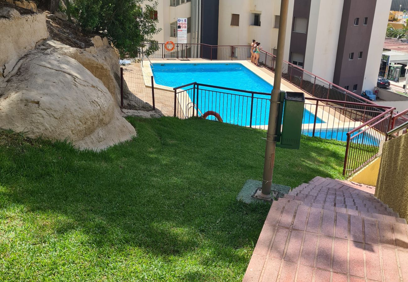 Apartamento en Benidorm - Apartamento Cardenal  IF Beach