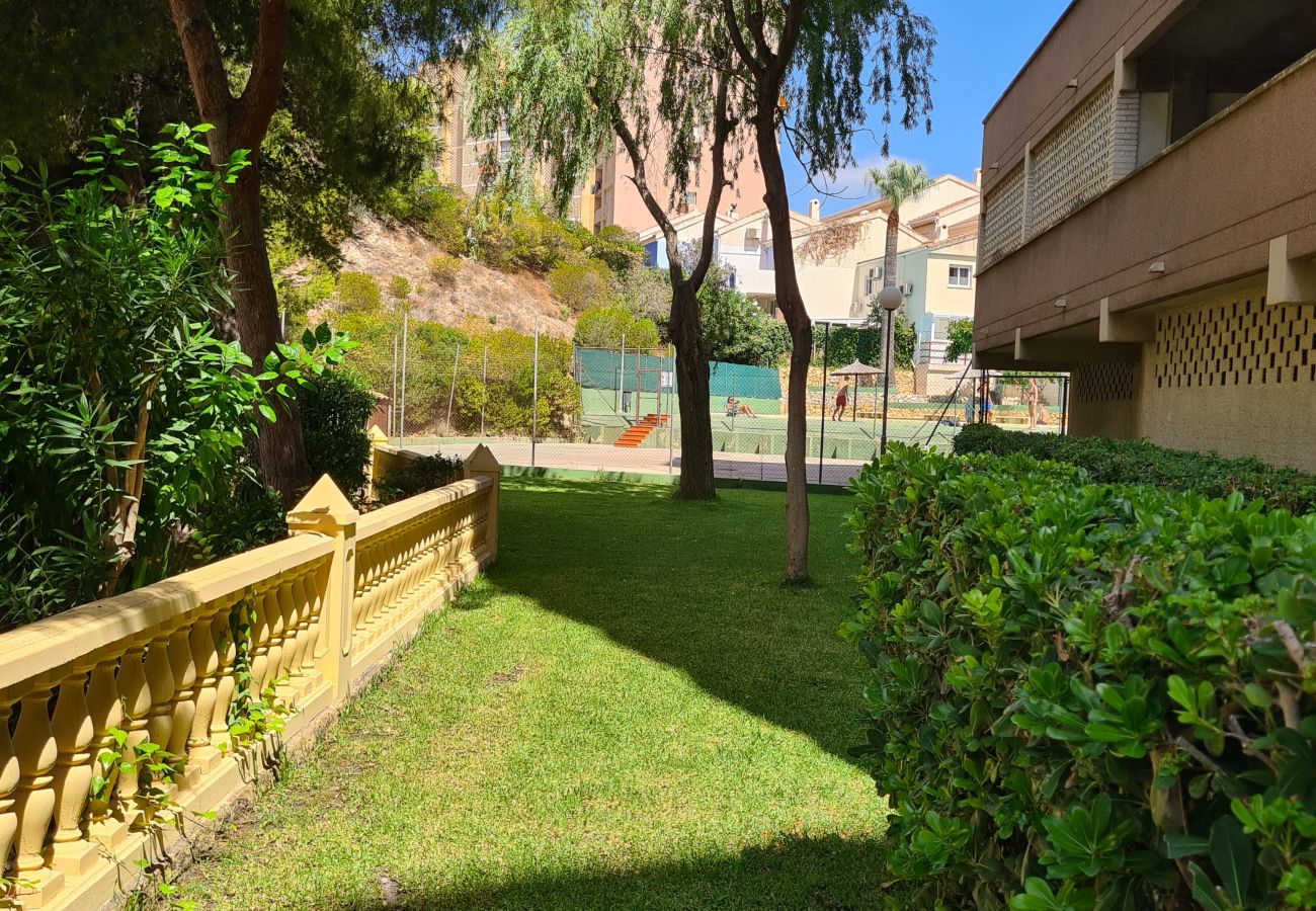 Apartamento en Benidorm - Apartamento Cardenal  IF Beach