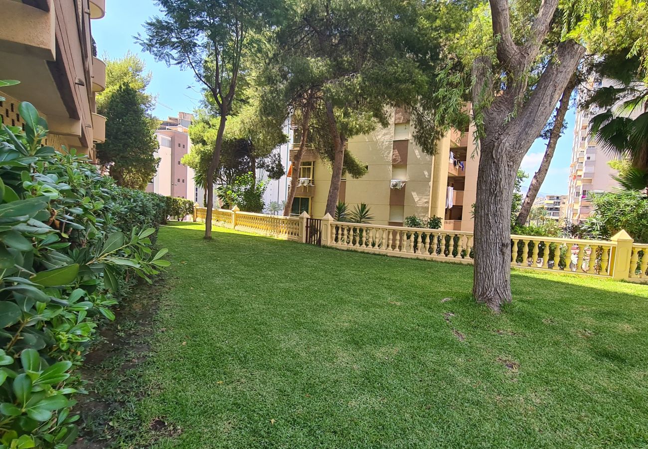 Apartamento en Benidorm - Apartamento Cardenal  IF Beach