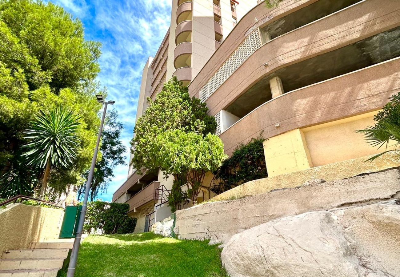 Apartamento en Benidorm - Apartamento Cardenal  IF Beach