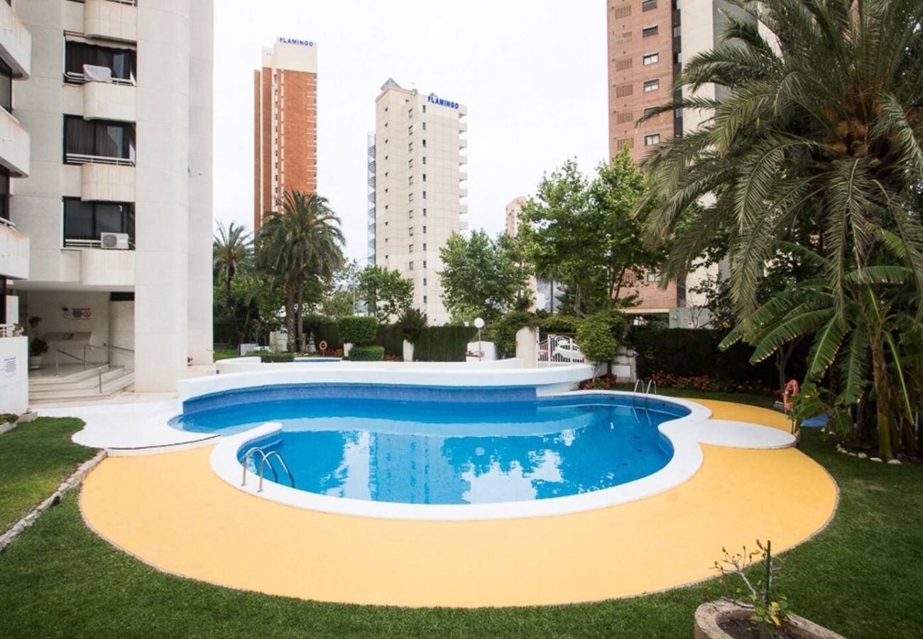 Apartamento en Benidorm - Apartamento Torre Europa 19 IF Benidorm