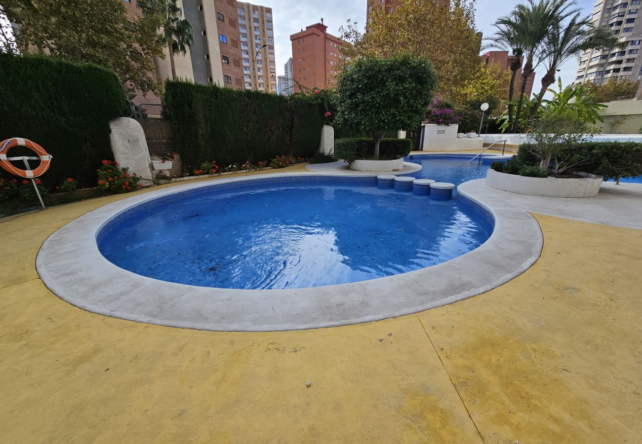 Apartamento en Benidorm - Apartamento Torre Europa 19 IF Benidorm