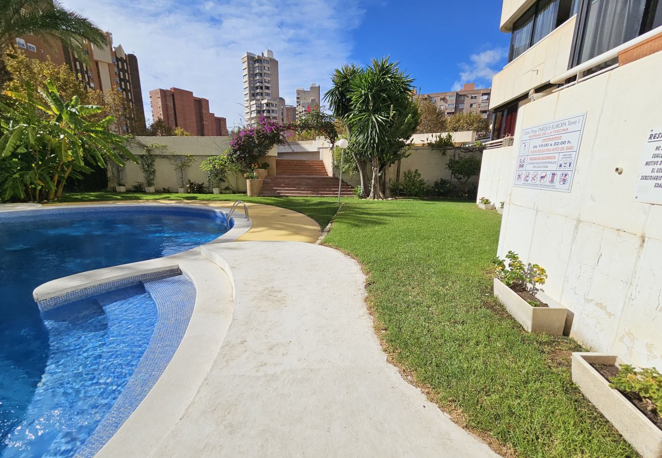 Apartamento en Benidorm - Apartamento Torre Europa 19 IF Benidorm