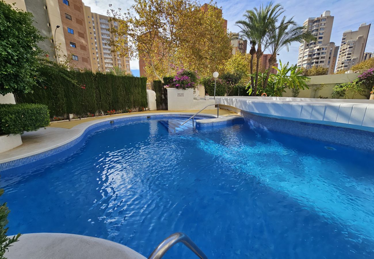 Apartamento en Benidorm - Apartamento Torre Europa 19 IF Benidorm