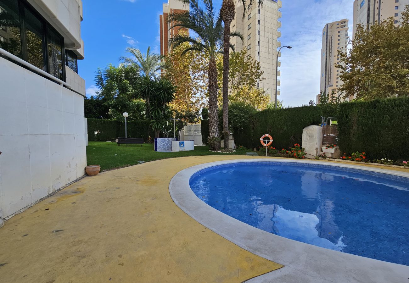 Apartamento en Benidorm - Apartamento Torre Europa 19 IF Benidorm