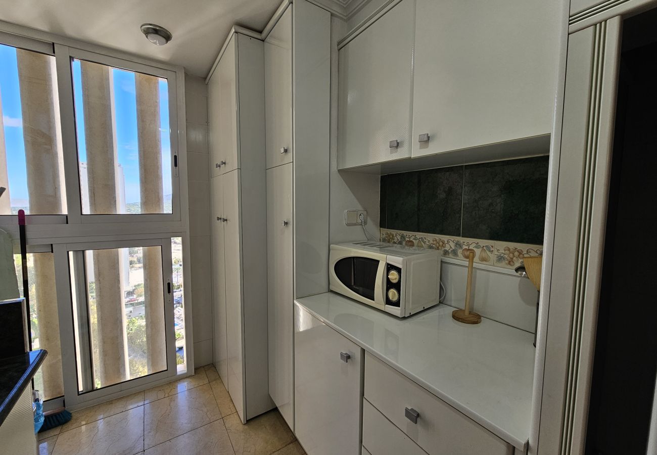 Apartamento en Benidorm - Apartamento Torre Europa 19 IF Benidorm