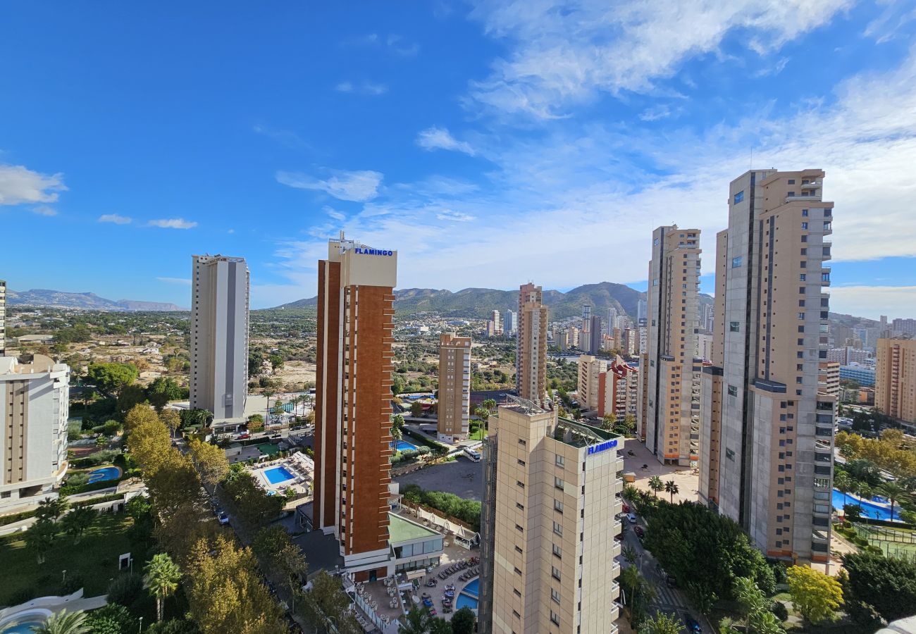 Apartamento en Benidorm - Apartamento Torre Europa 19 IF Benidorm