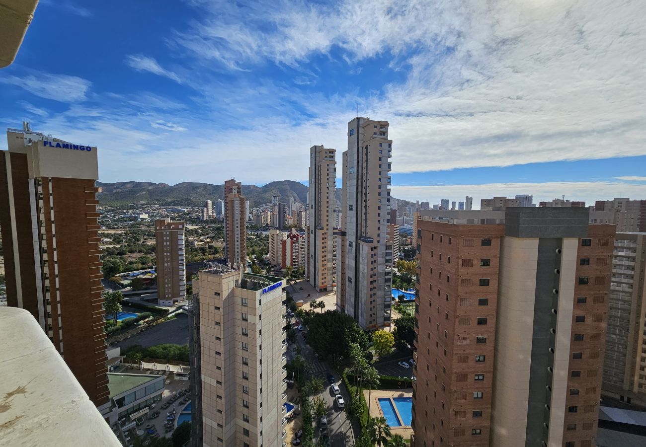 Apartamento en Benidorm - Apartamento Torre Europa 19 IF Benidorm