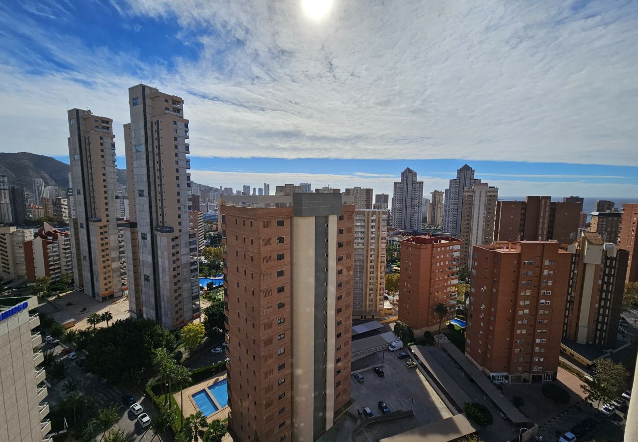 Apartamento en Benidorm - Apartamento Torre Europa 19 IF Benidorm