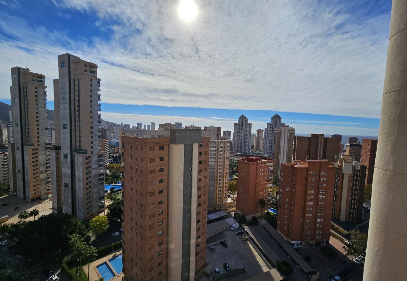 Apartamento en Benidorm - Apartamento Torre Europa 19 IF Benidorm