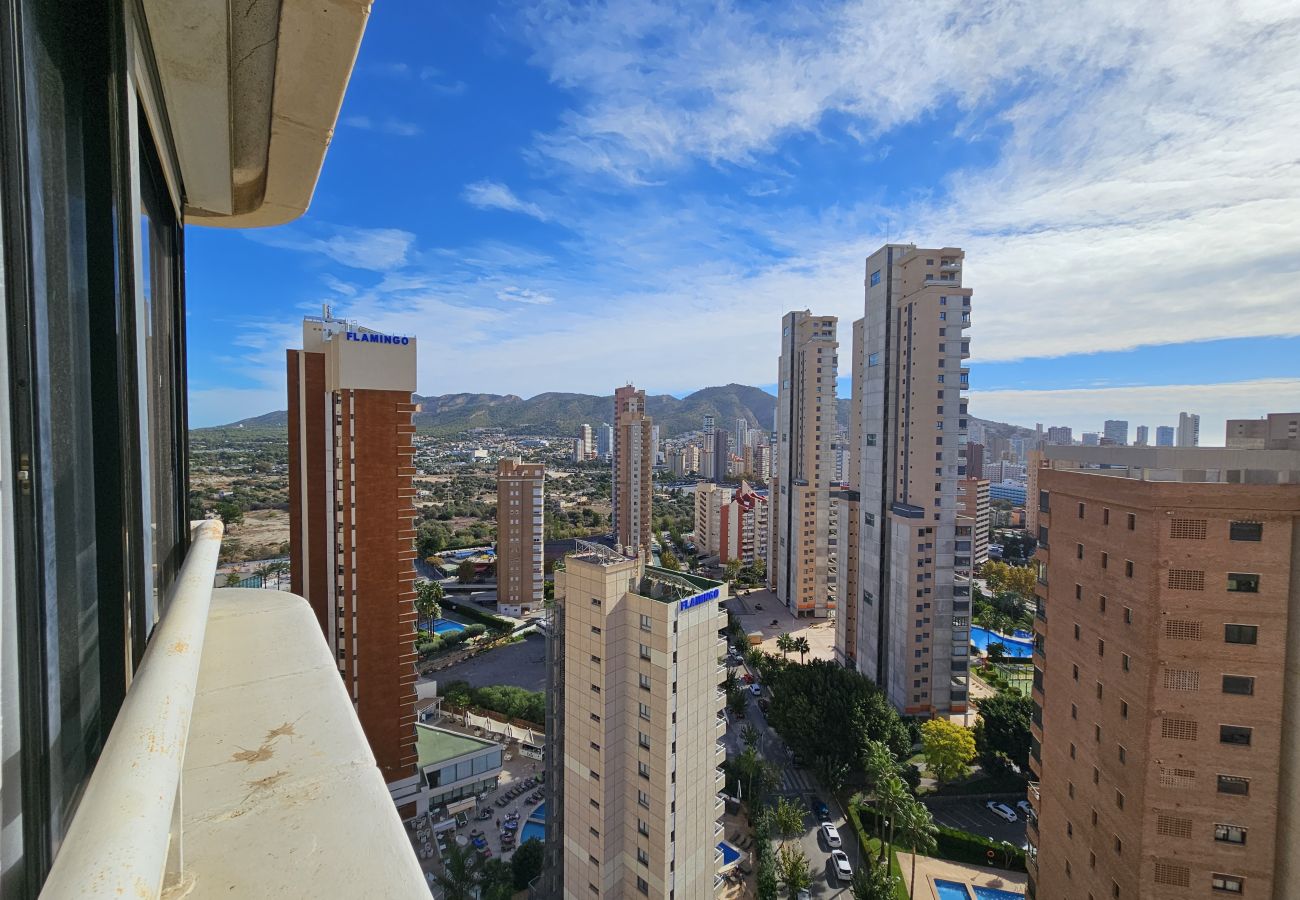 Apartamento en Benidorm - Apartamento Torre Europa 19 IF Benidorm