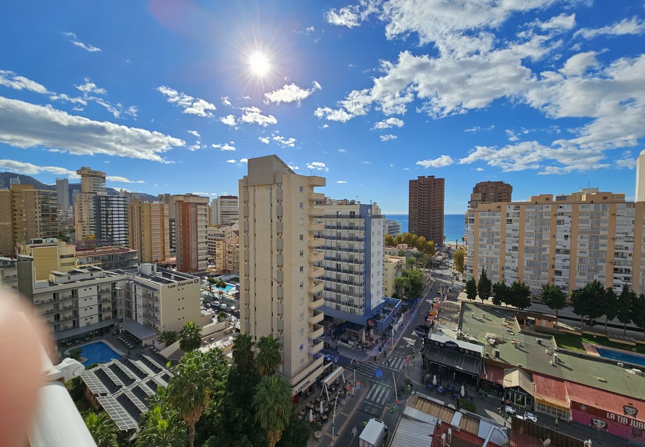 Apartamento en Benidorm - Apartamento Zeus 11 IF Benidorm