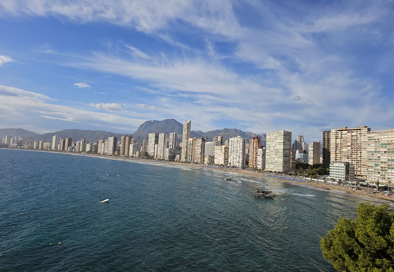 Apartamento en Benidorm - Apartamento  Paraiso Lido IF Benidorm