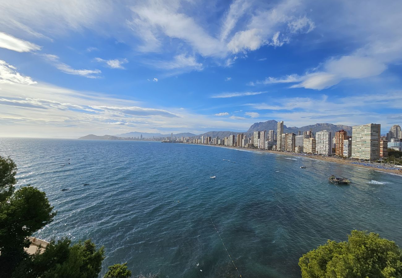 Apartamento en Benidorm - Apartamento  Paraiso Lido IF Benidorm