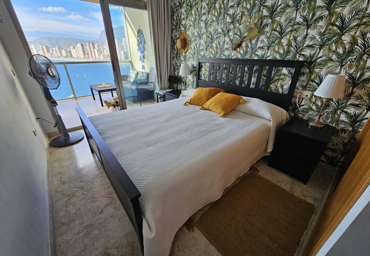 Apartamento en Benidorm - Apartamento  Paraiso Lido IF Benidorm