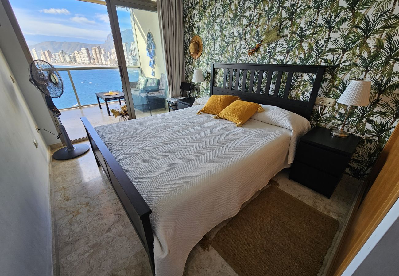 Apartamento en Benidorm - Apartamento  Paraiso Lido IF Benidorm