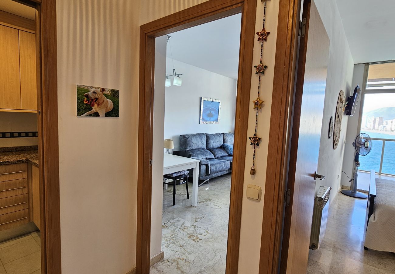 Apartamento en Benidorm - Apartamento  Paraiso Lido IF Benidorm