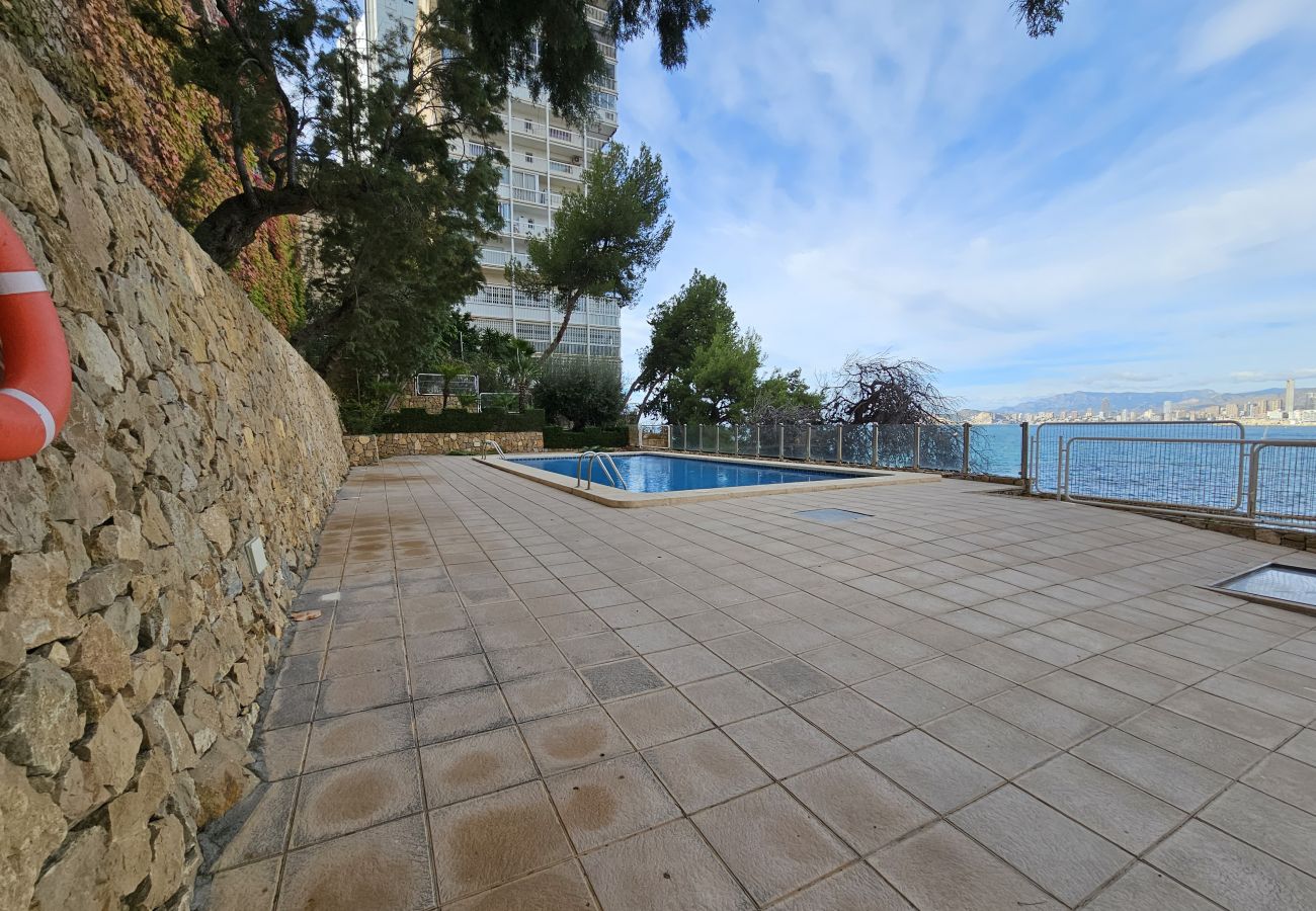 Apartamento en Benidorm - Apartamento  Paraiso Lido IF Benidorm