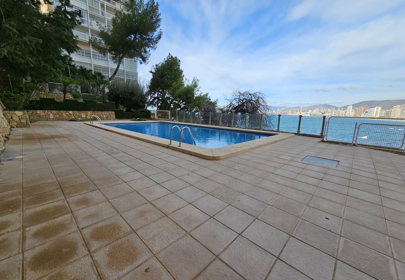 Apartamento en Benidorm - Apartamento  Paraiso Lido IF Benidorm