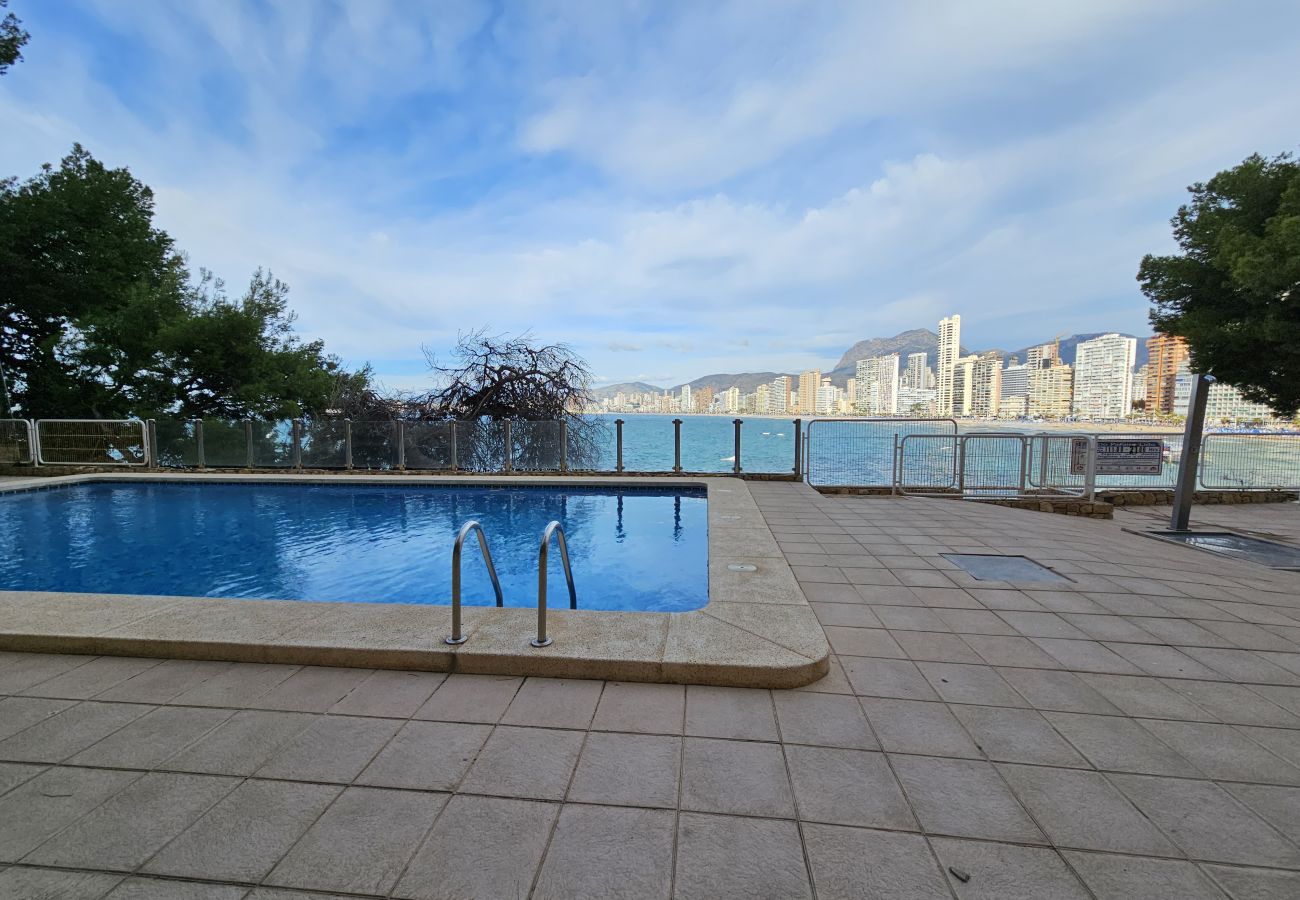 Apartamento en Benidorm - Apartamento  Paraiso Lido IF Benidorm