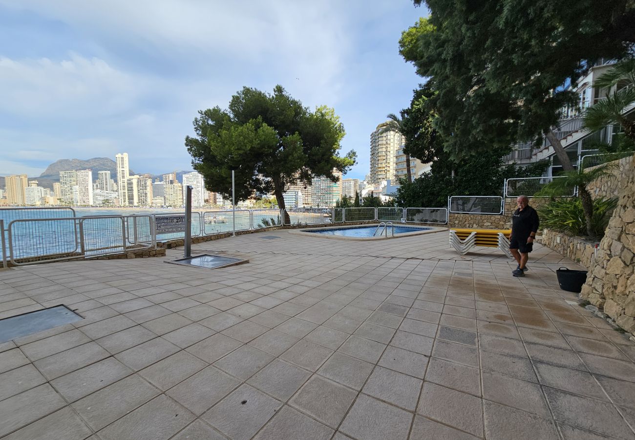 Apartamento en Benidorm - Apartamento  Paraiso Lido IF Benidorm