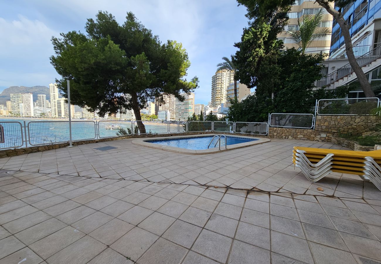 Apartamento en Benidorm - Apartamento  Paraiso Lido IF Benidorm